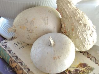 White, dried pumpkins and gourds displayed as home decor.