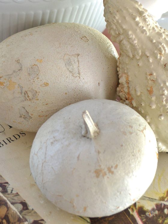 White, dried pumpkins and gourds displayed as home decor.