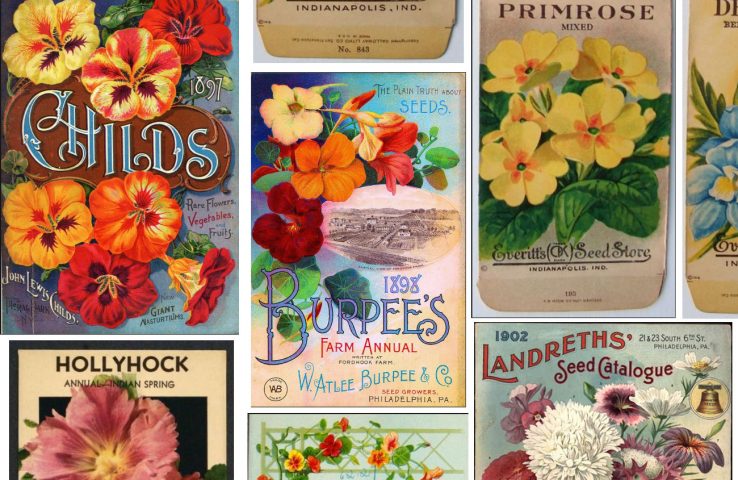 Collecting Vintage Seed Packets - Cottage style decorating,