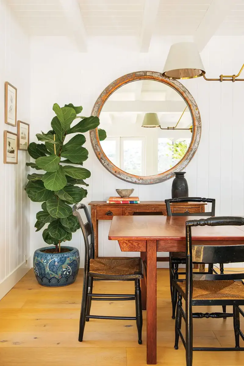 round mirror fiddle leaf fig and wooden dining table in renovated 1940s beach cottage