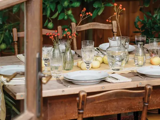 red apples serve as the centerpiece at this table set for outdoor fall feasting