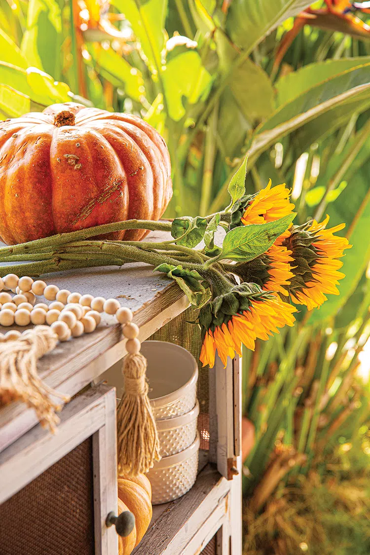 outdoor potting area with pumpkin and sunflowers