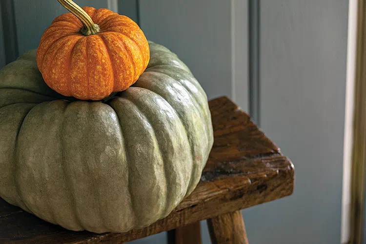 large green and small orange pumpkin serve as decor in entryway