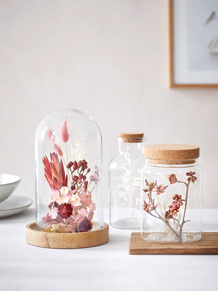 clear cloches and jars containing dried plants including hydrangeas, proteas and rose hips