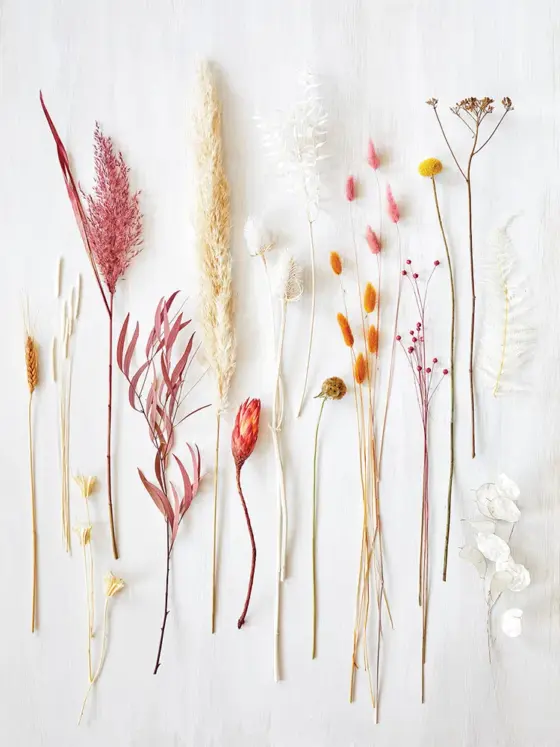 dried plants ready for use in fall decorating