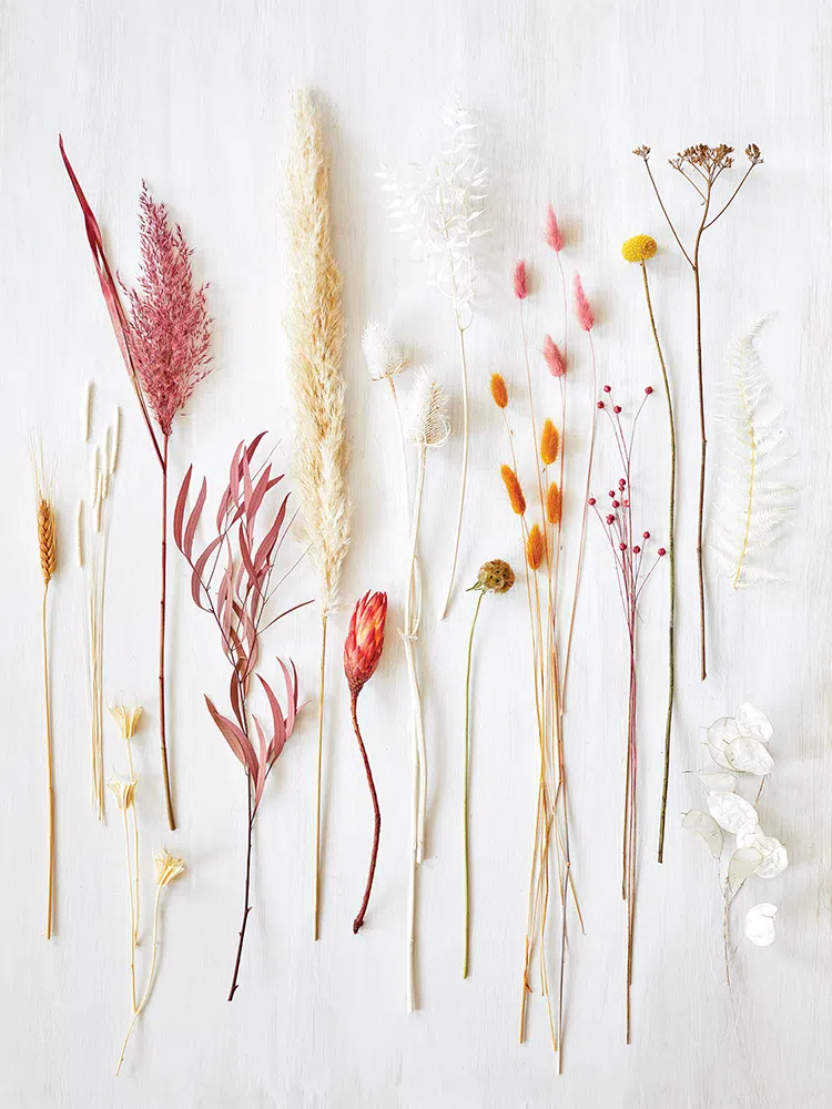 dried plants ready for use in fall decorating