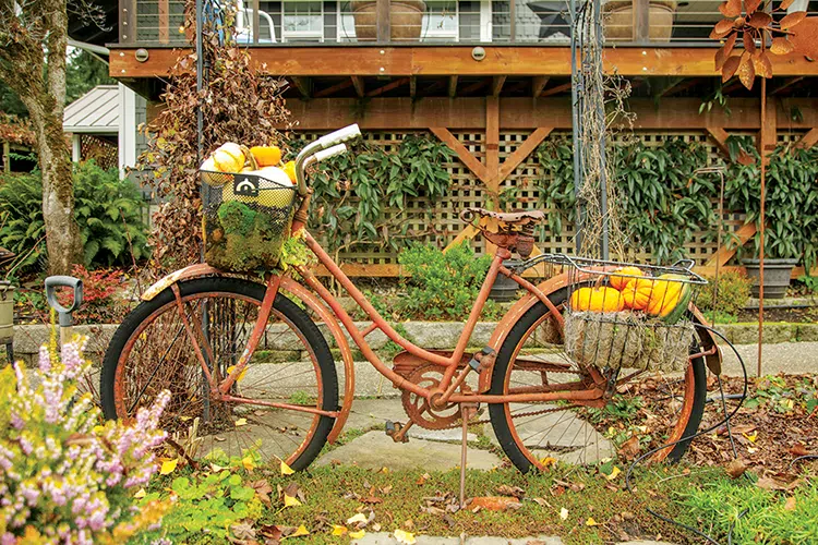 rusted bike with baskets filled with hay and decorative pumpkins