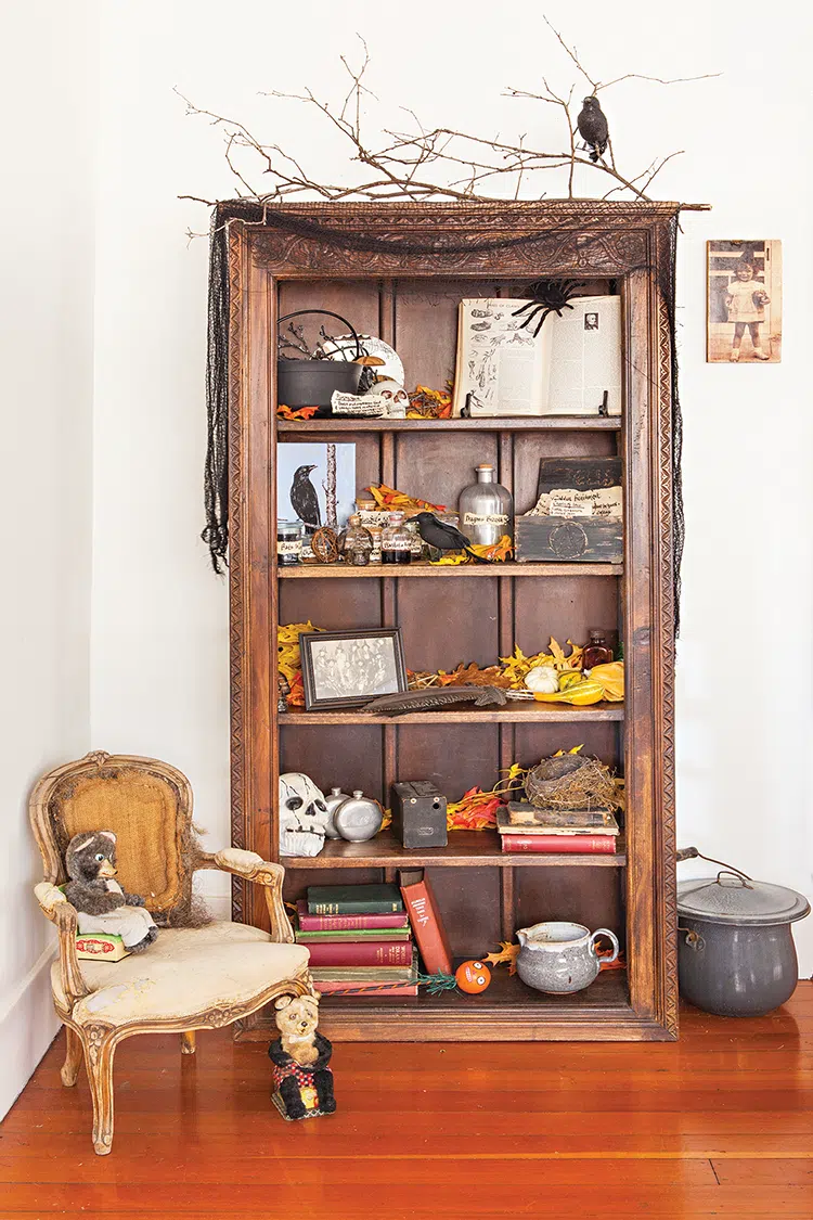 bookshelf with collection of fall foliage, crows, spiders and small skulls for spooky and sophisticated Halloween