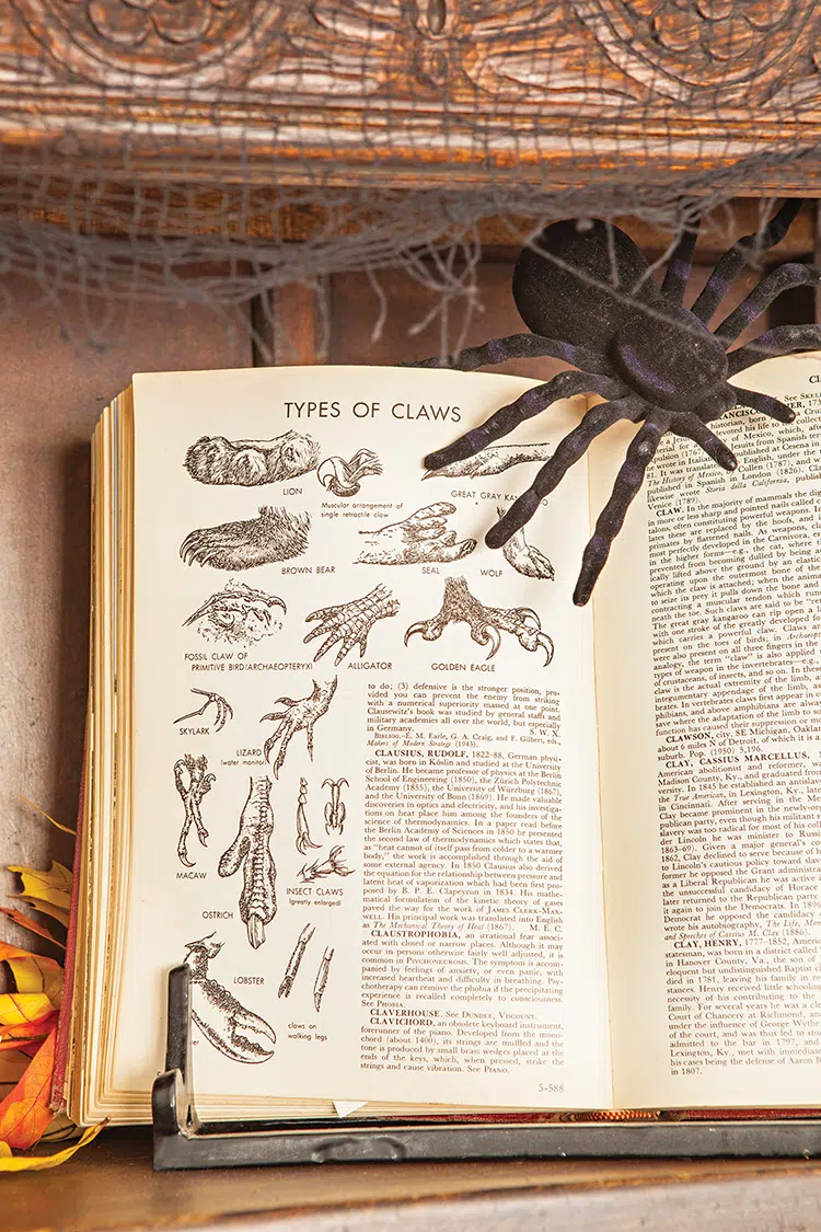 vintage encyclopedia opened to types of claws with illustrations with fake spider