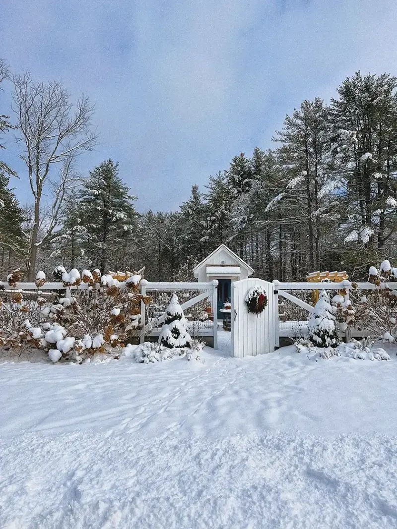 outside at Christmastime at Pantry Hill covered in snow