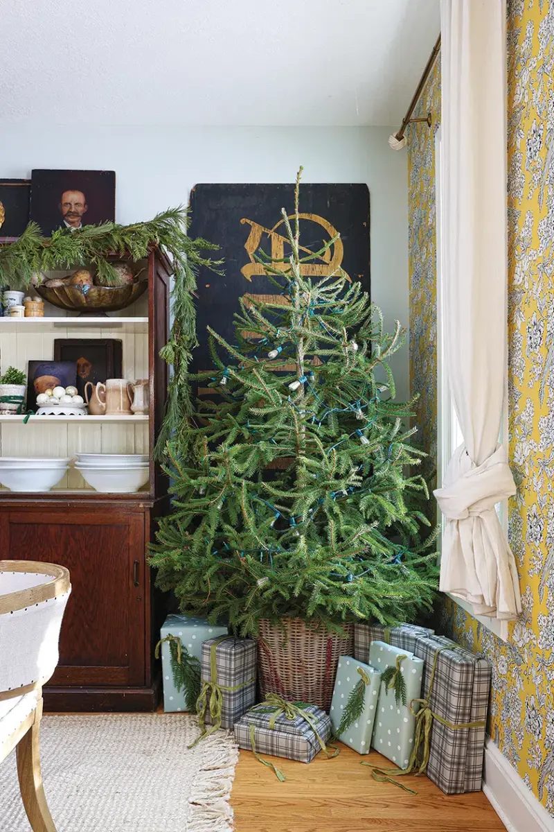 natural tree in wicker basket with lights but no ornaments