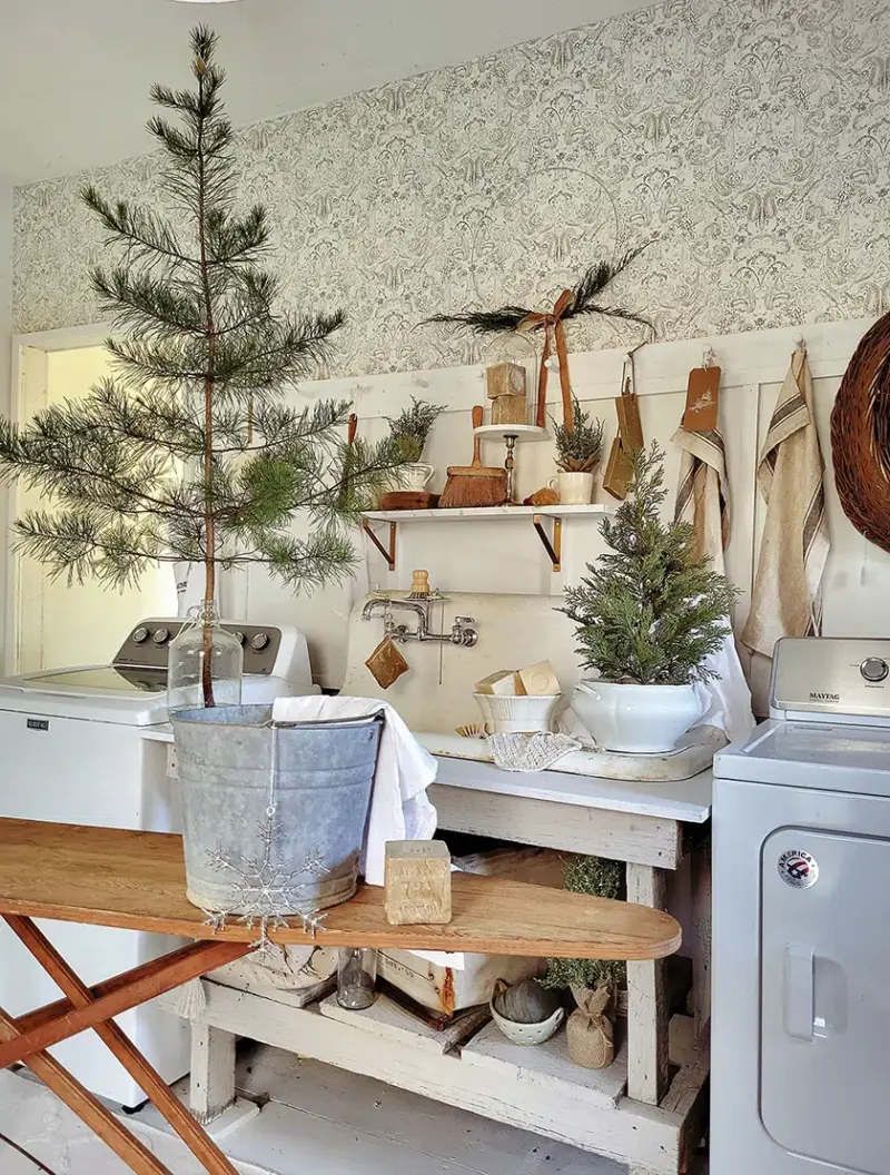 natural small pine trees in neutral cottage laundry room