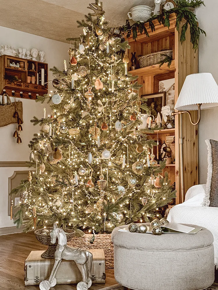 Christmas tree in 2025 Brand Ambassador's home