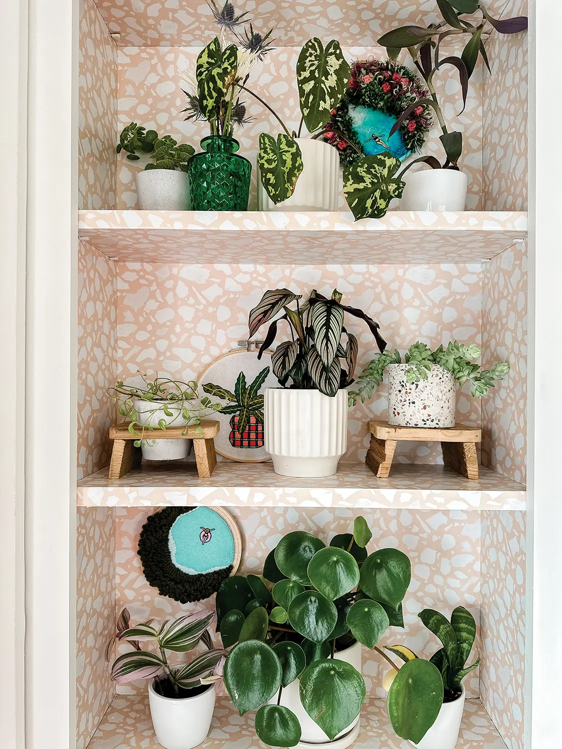 built-in shelving with potted plants in hidden she shed